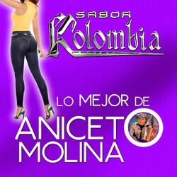 Cover of Lo Mejor De Aniceto Molina (Tropical)