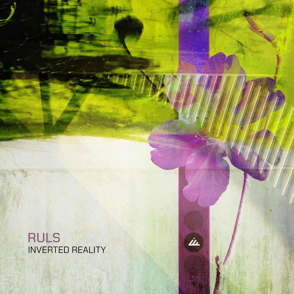 Album cover of Inverted Reality