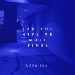 Cover of Can you give me more time ?