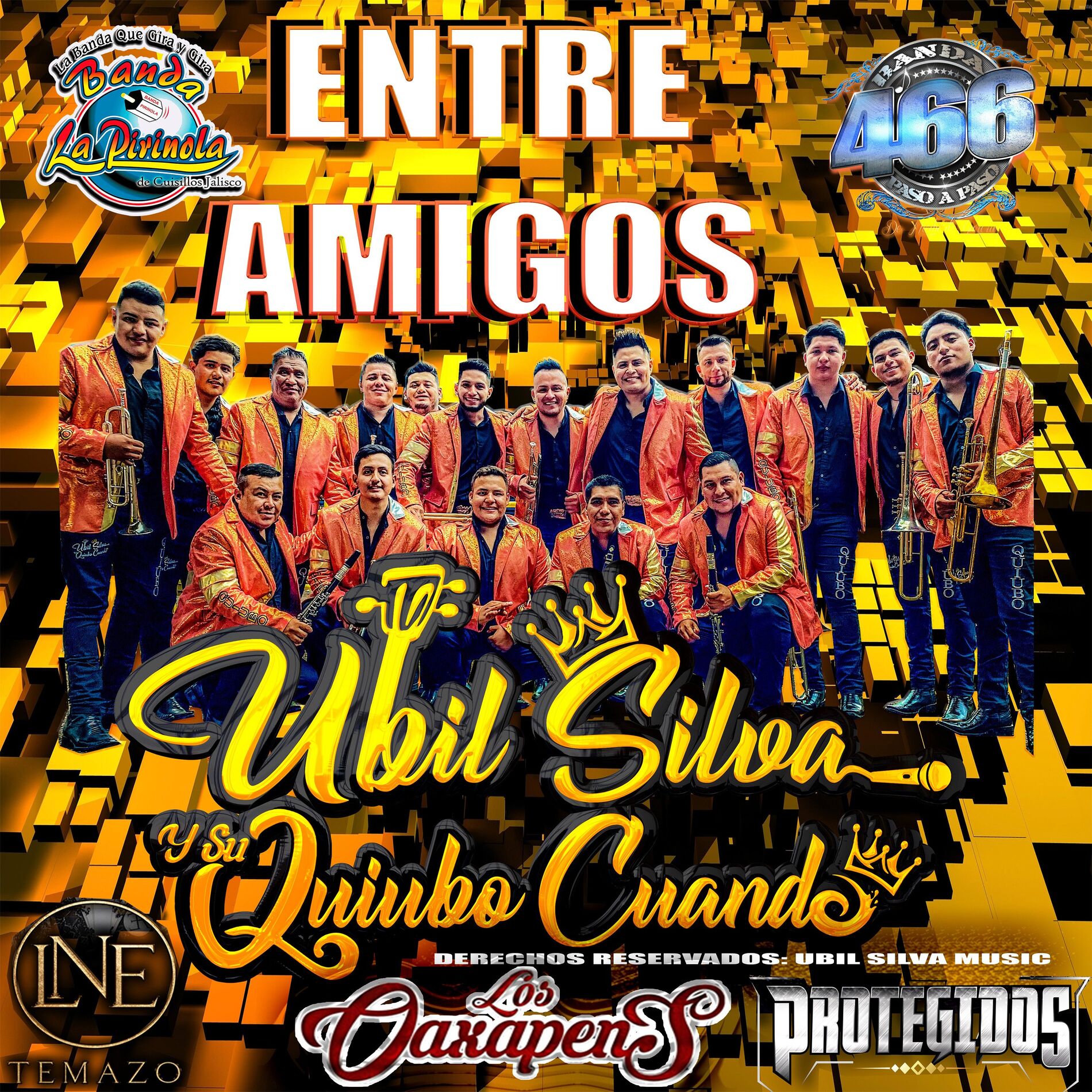 Album cover of Entre Amigos