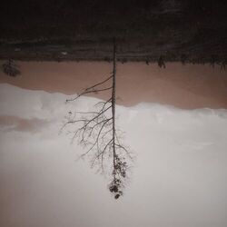 Cover of Discoloration
