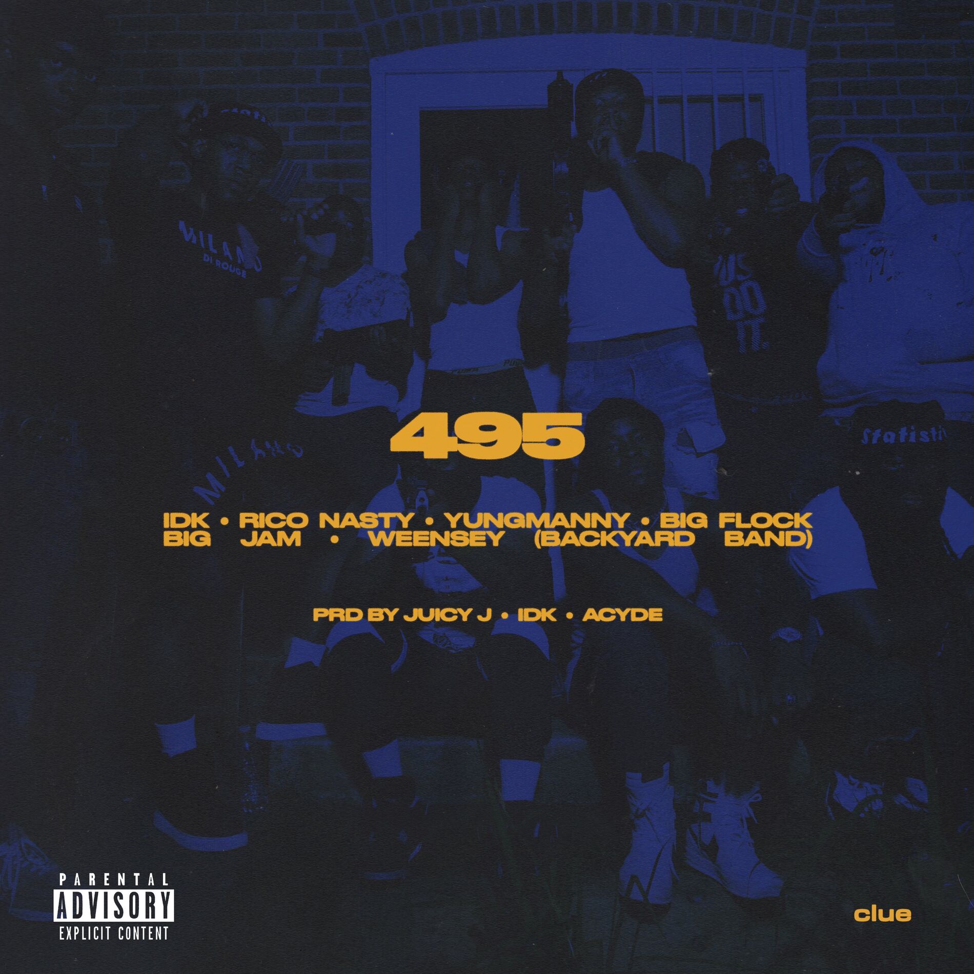 Album cover of 495 (feat. Rico Nasty, YungManny, Big Flock, Big JAM & Weensey)
