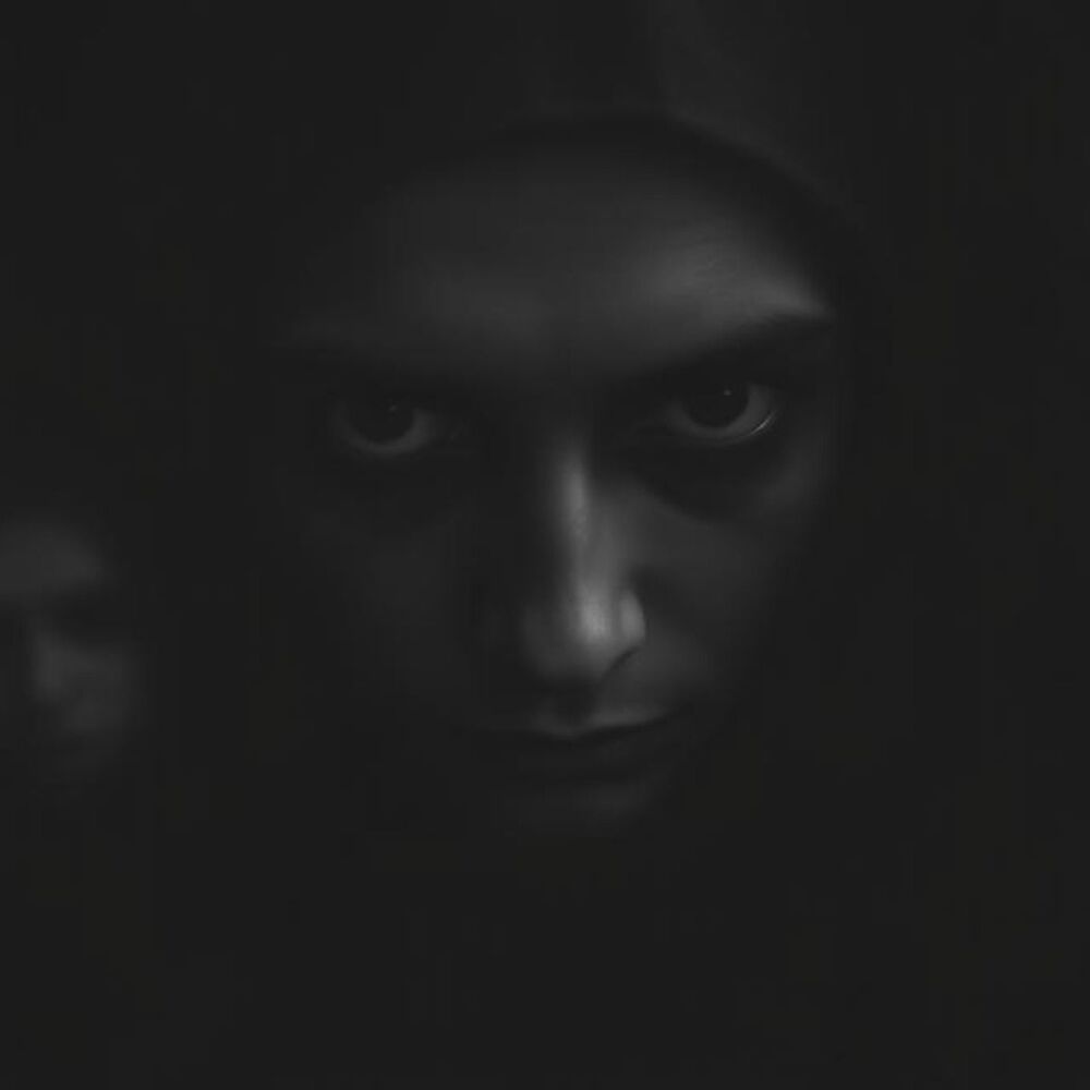 Picture of Echoes of Ourselves