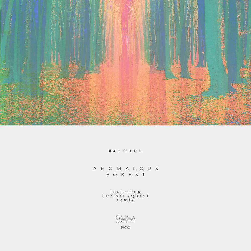 Picture of Anomalous Forest