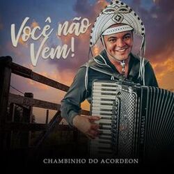 Cover of Você Não Vem! (Ao Vivo)