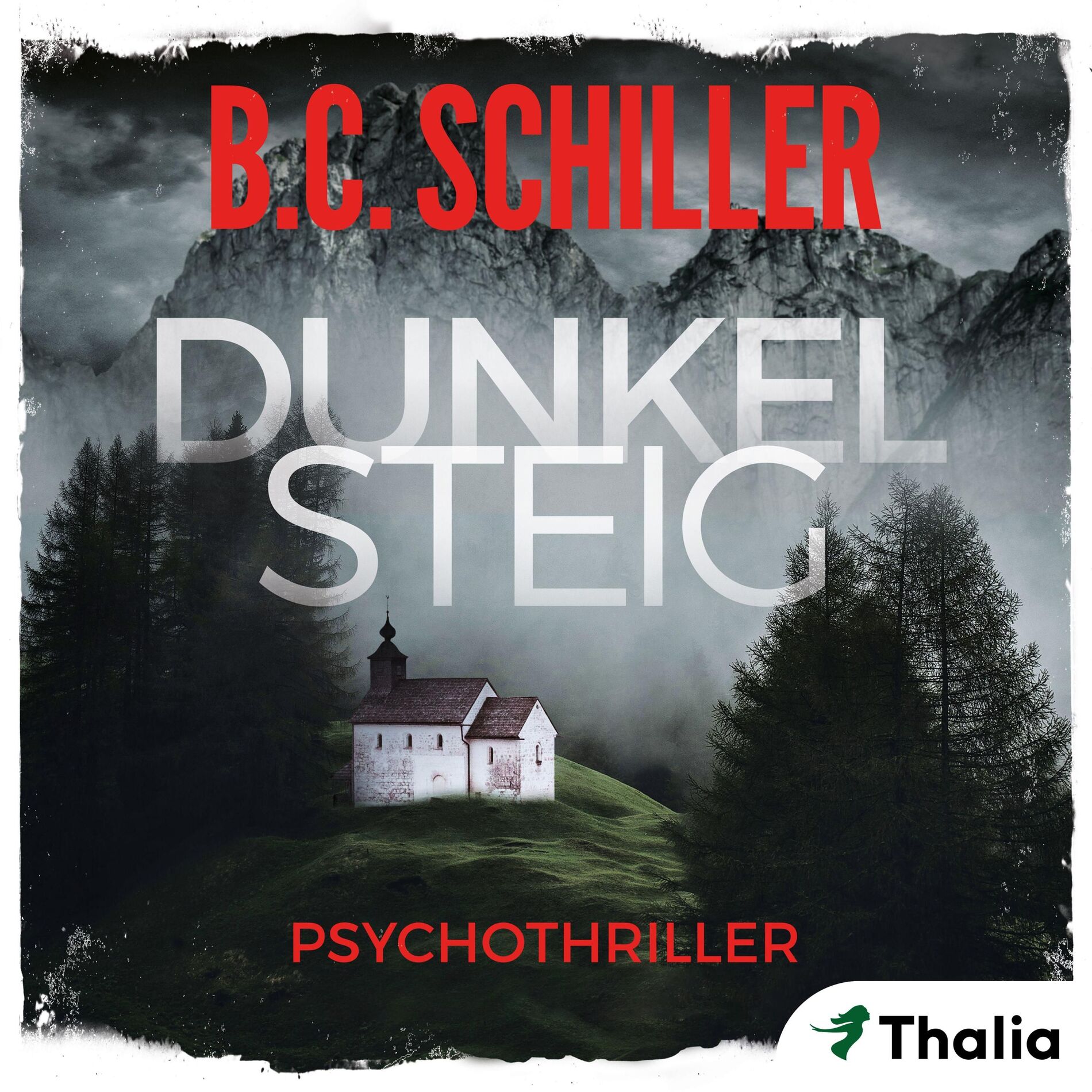 Album cover of Dunkelsteig (Band 1 - Dunkelsteig-Trilogie)