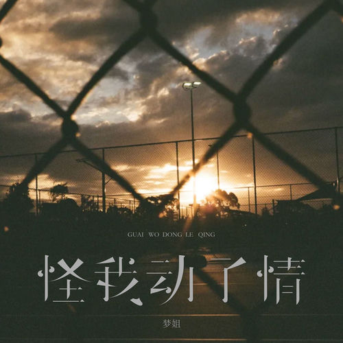 怪我动了情