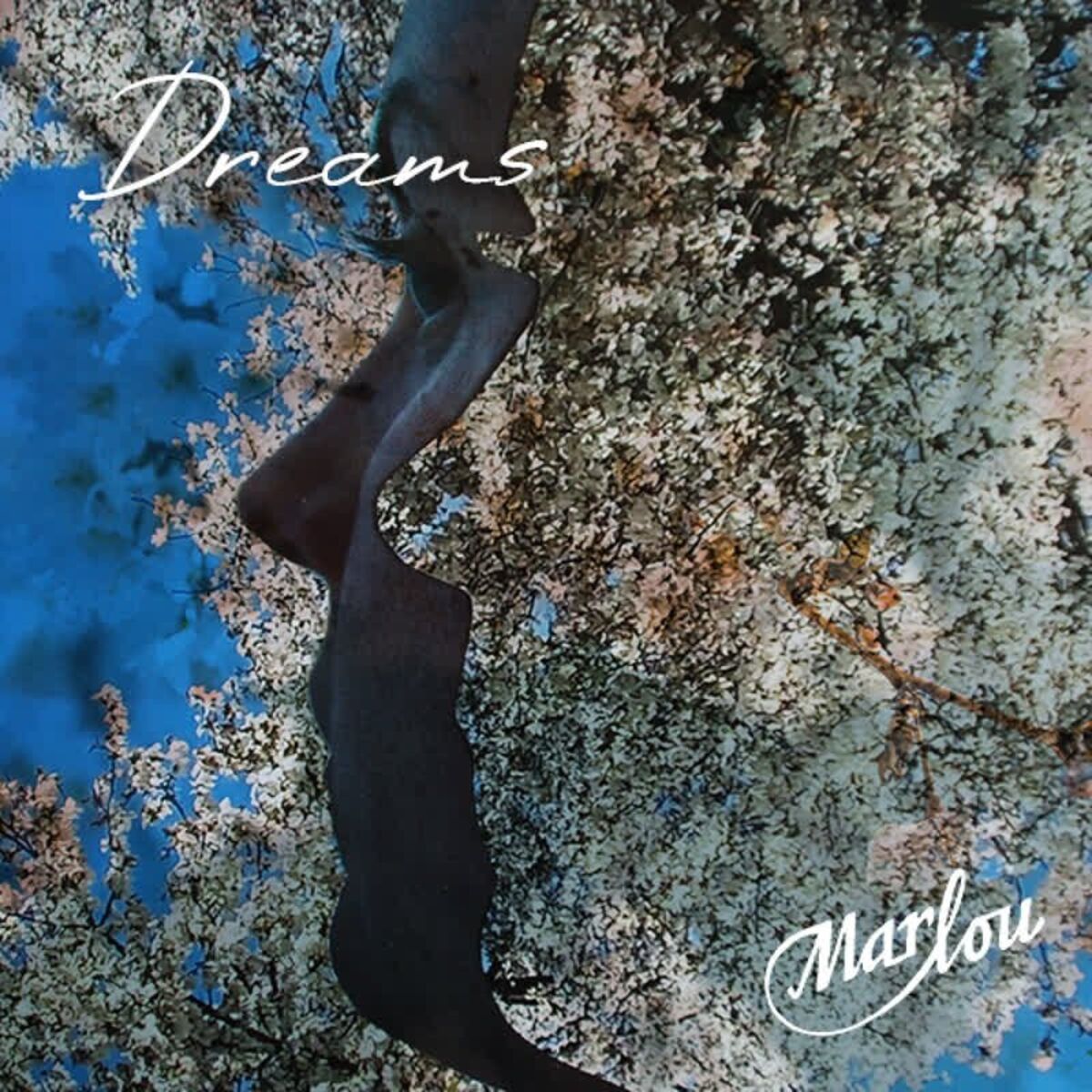 Album cover of Dreams