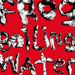 Cover of Frog In Boiling Water