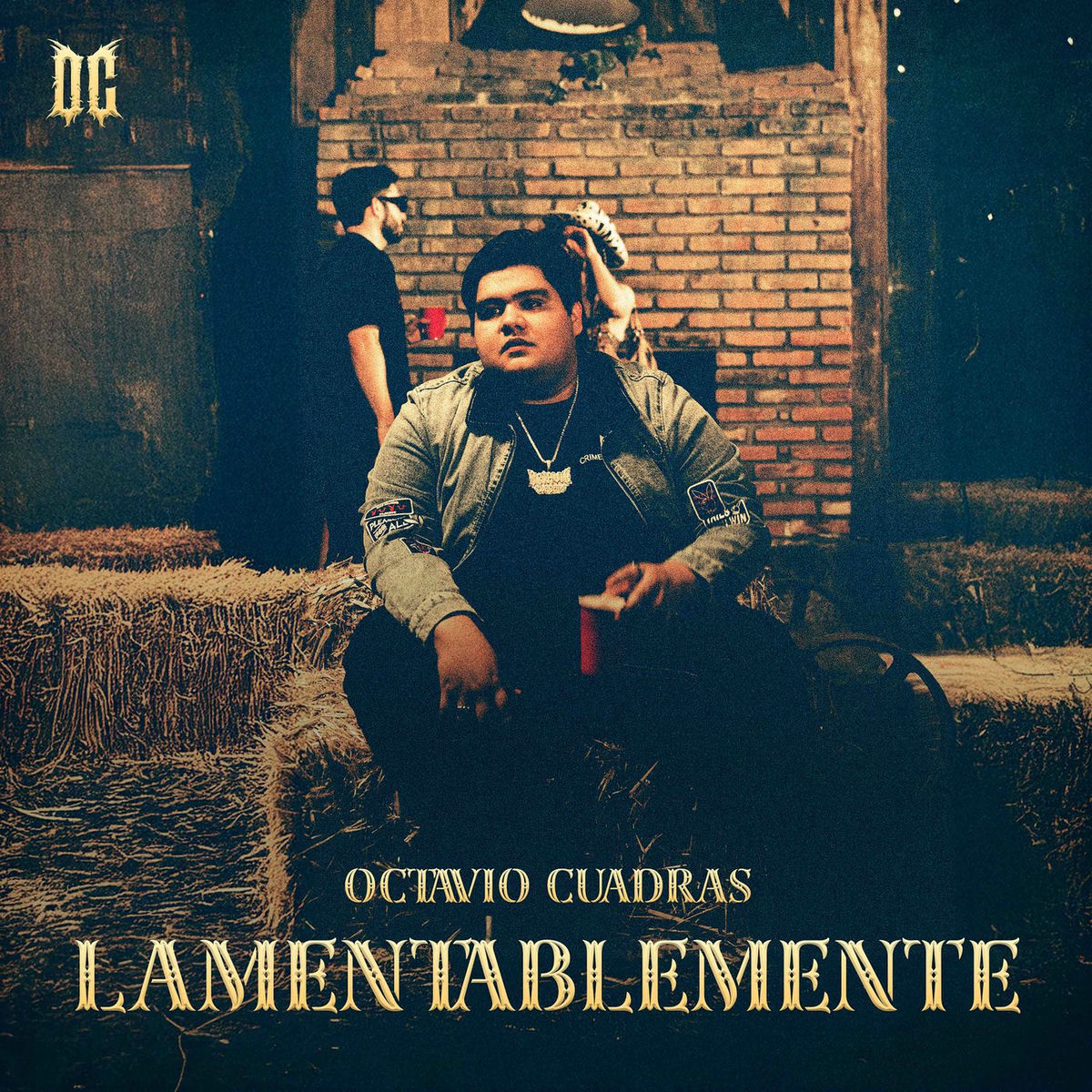 Album cover of Lamentablemente