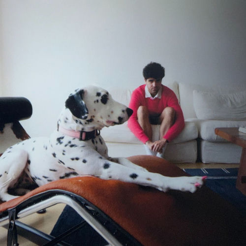 Dalmatian
