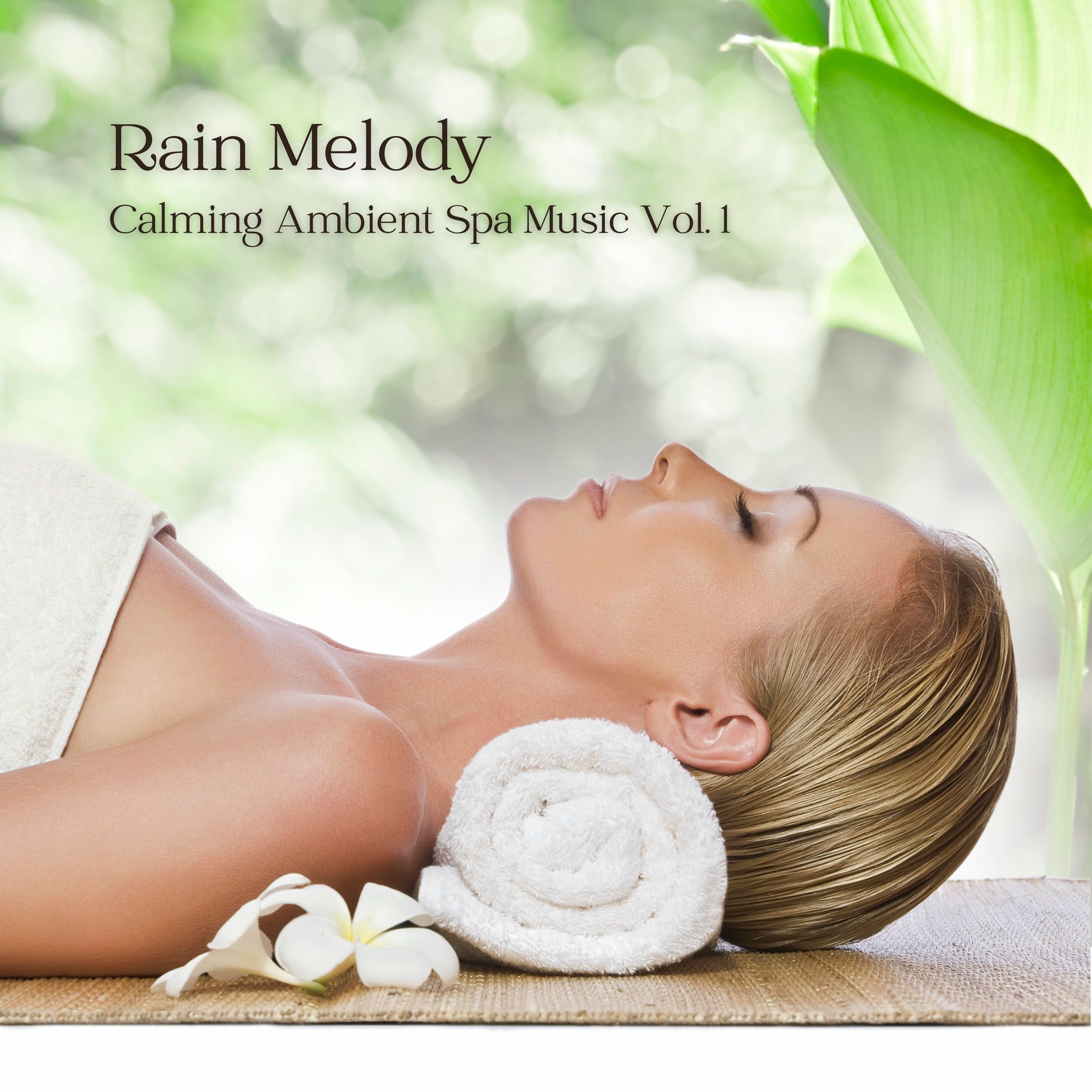 Album cover of Rain Melody: Calming Ambient Spa Music Vol. 1