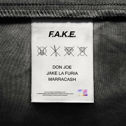 Cover of F.A.K.E.