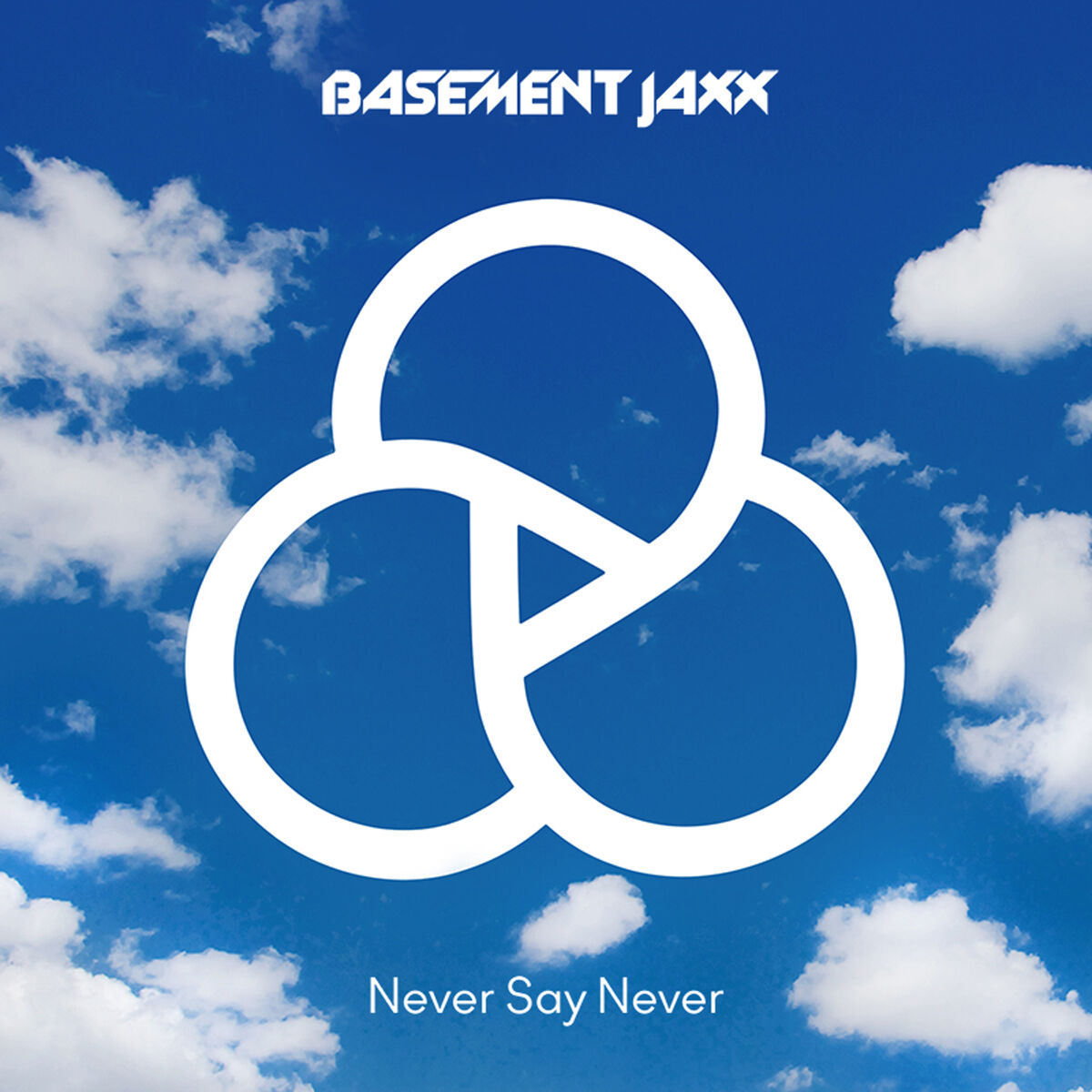 Album cover of Never Say Never