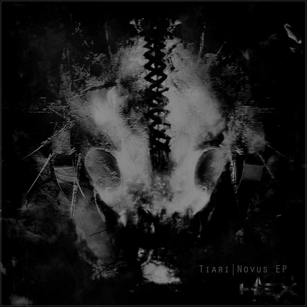 Picture of Novus EP