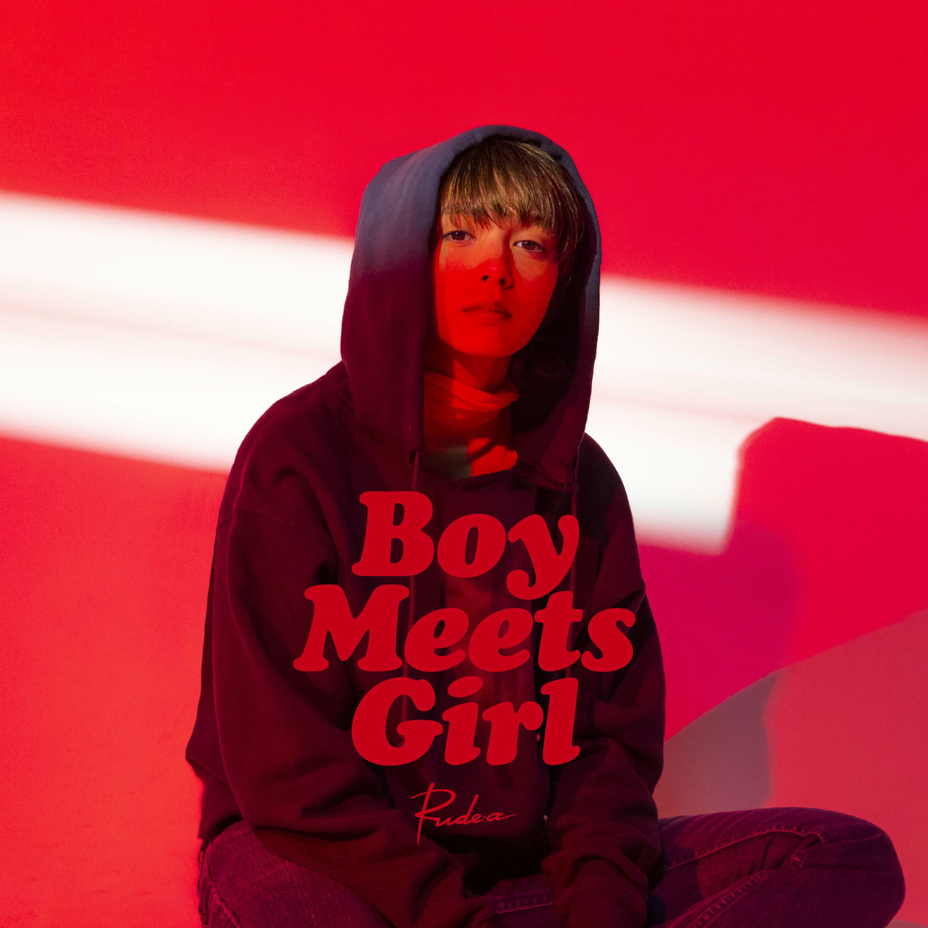 Album cover of Boy Meets Girl
