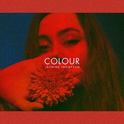 Cover of colour