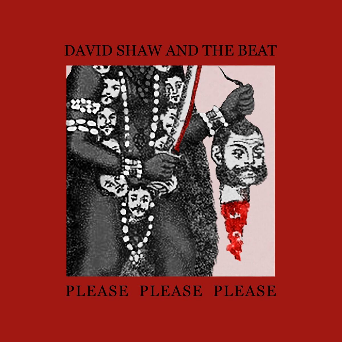 Album cover of Please Please Please