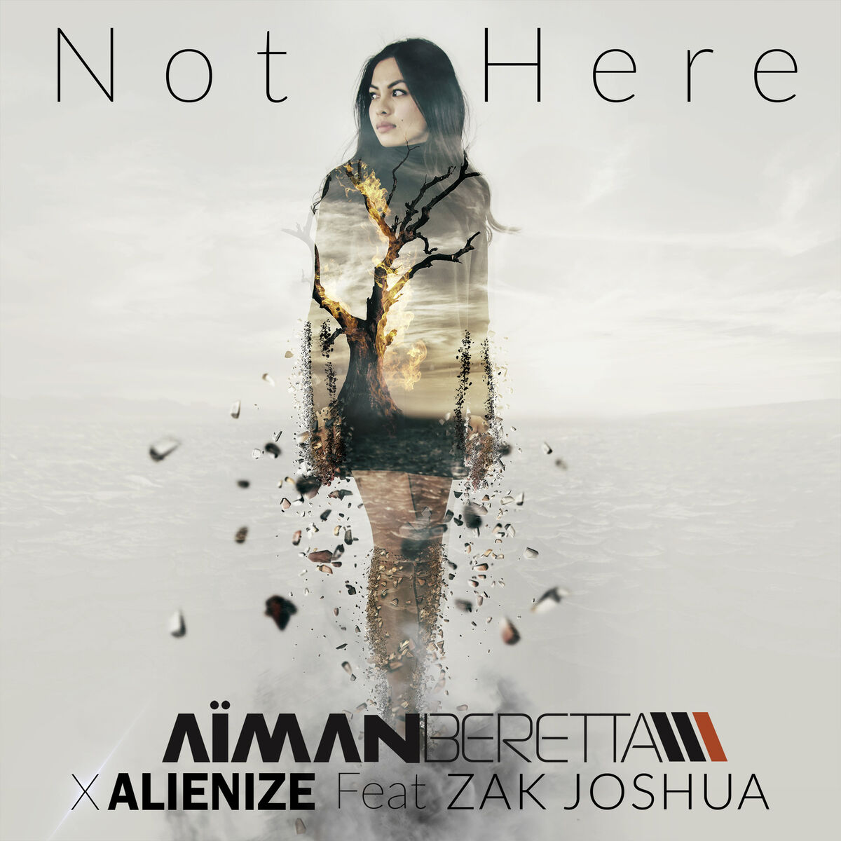 Album cover of Not Here