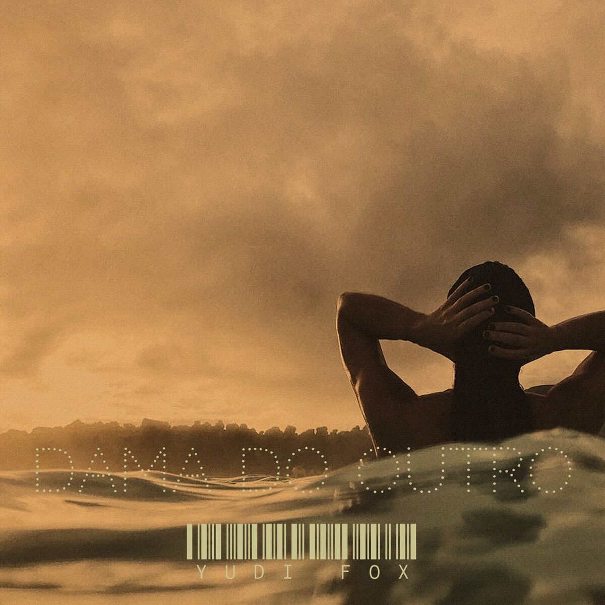 Album cover of Dama Do Outro