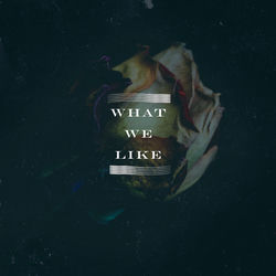 Cover of What We Like by undefined
