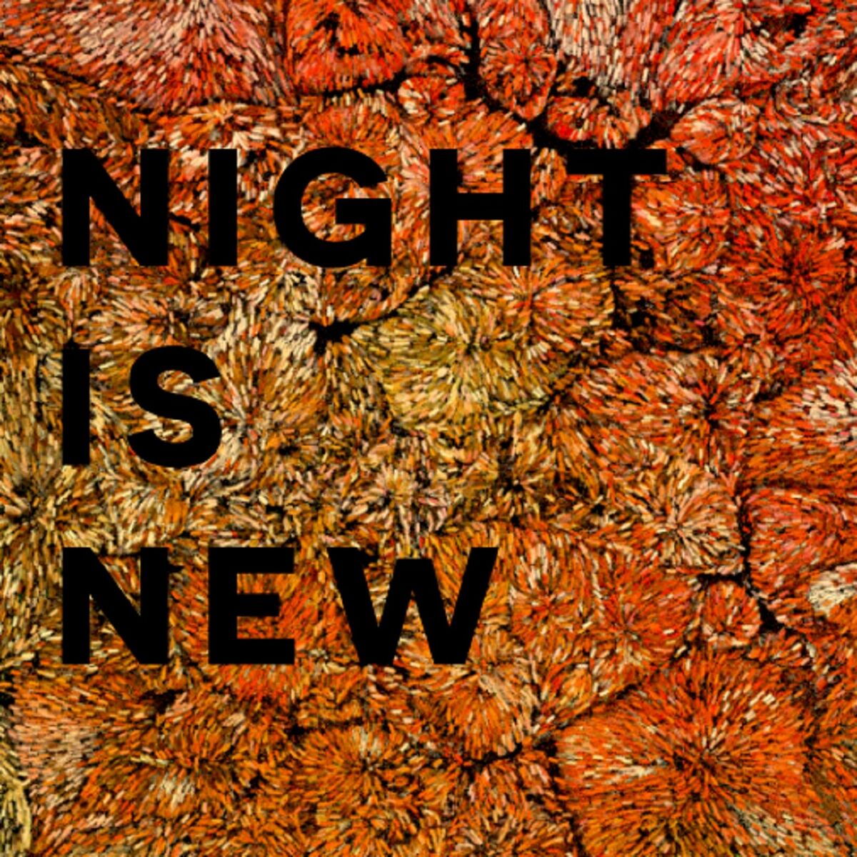Album cover of Night Is New