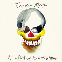 Cover of Corrosive Love
