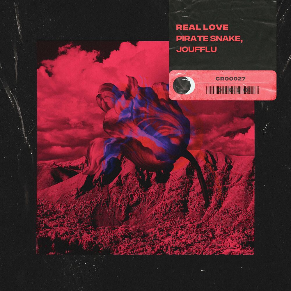 Picture of Real Love