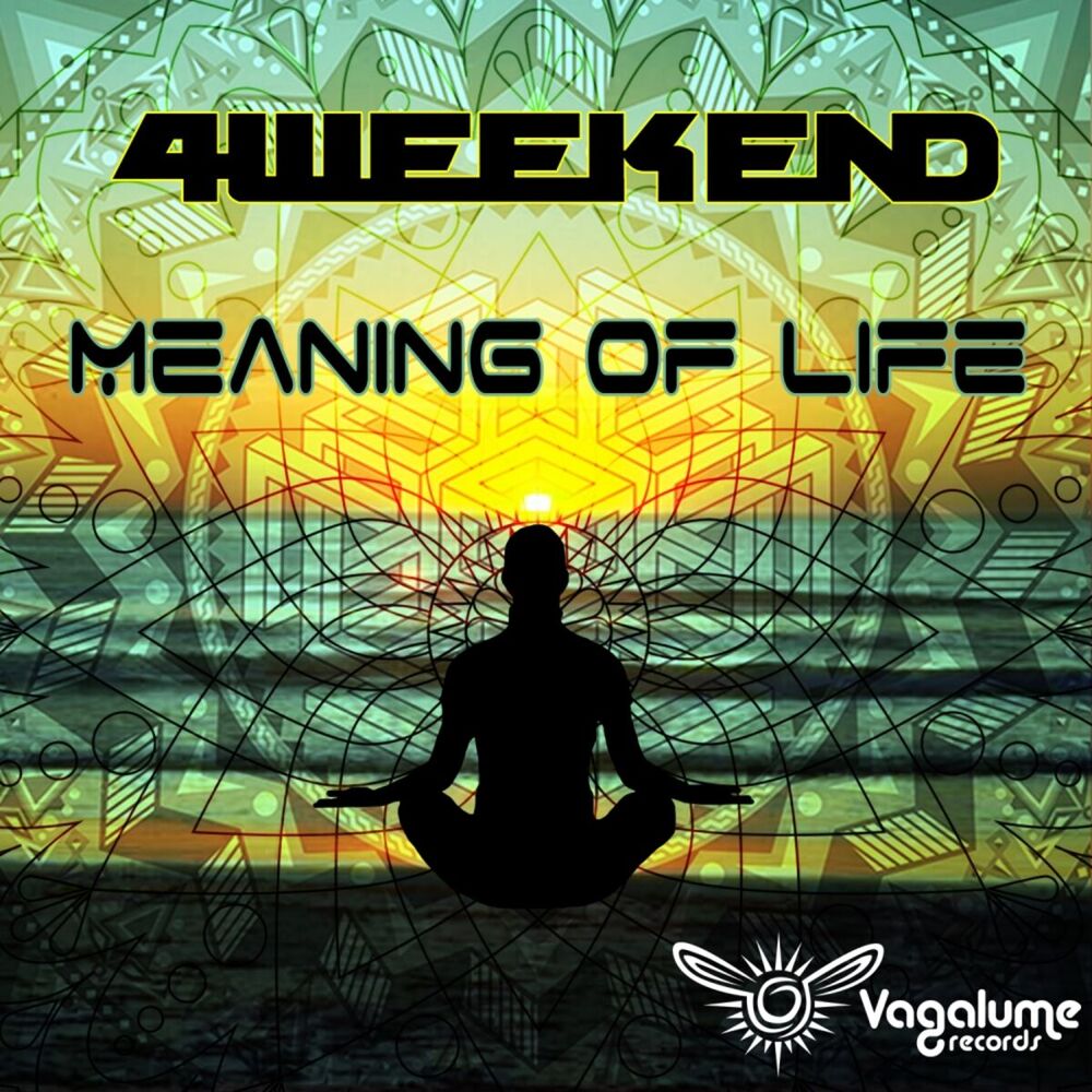 Picture of Meaning Of Life