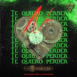 Cover of No te Quiero Perder