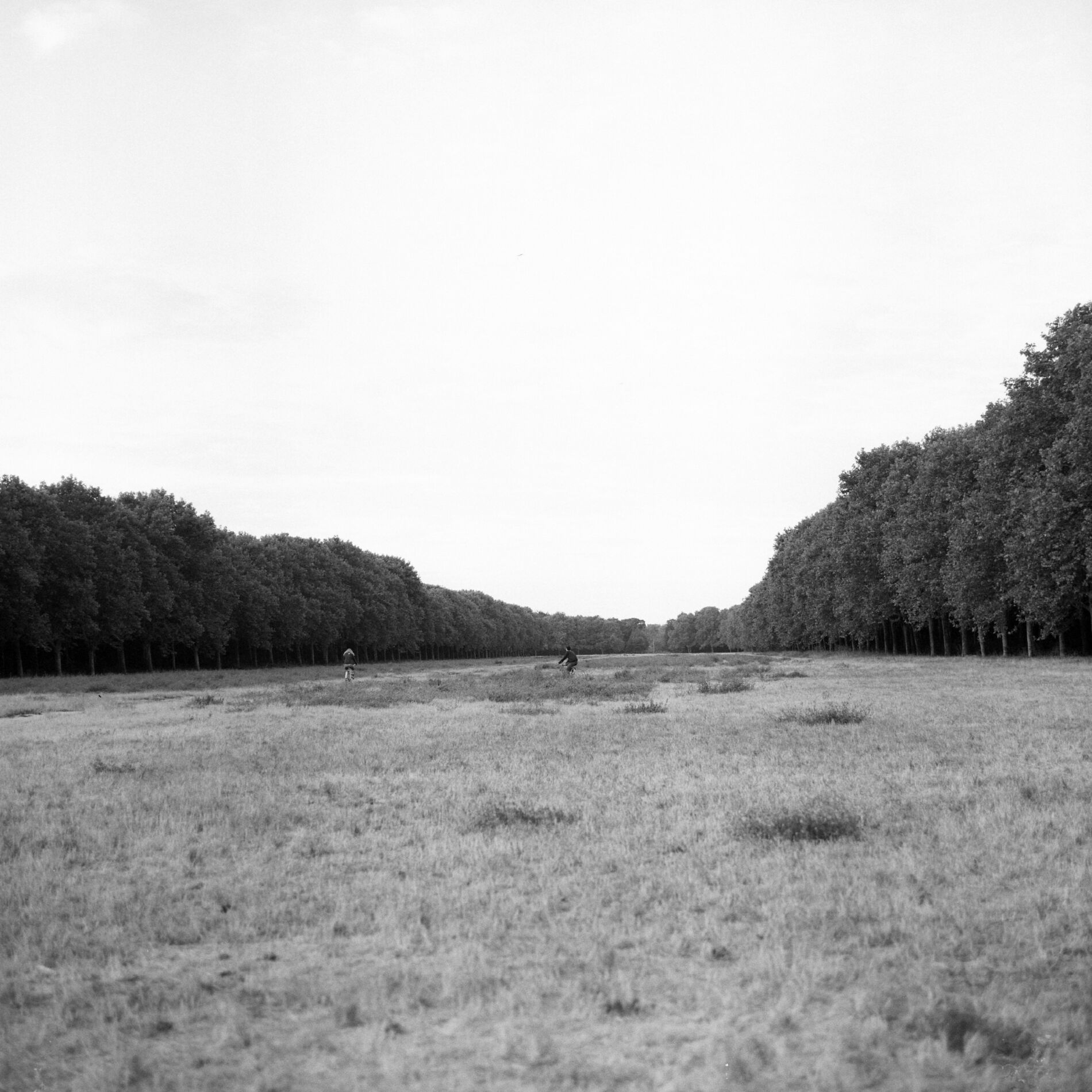 Album cover of Mirow