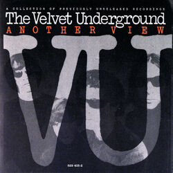 Cover of Another View