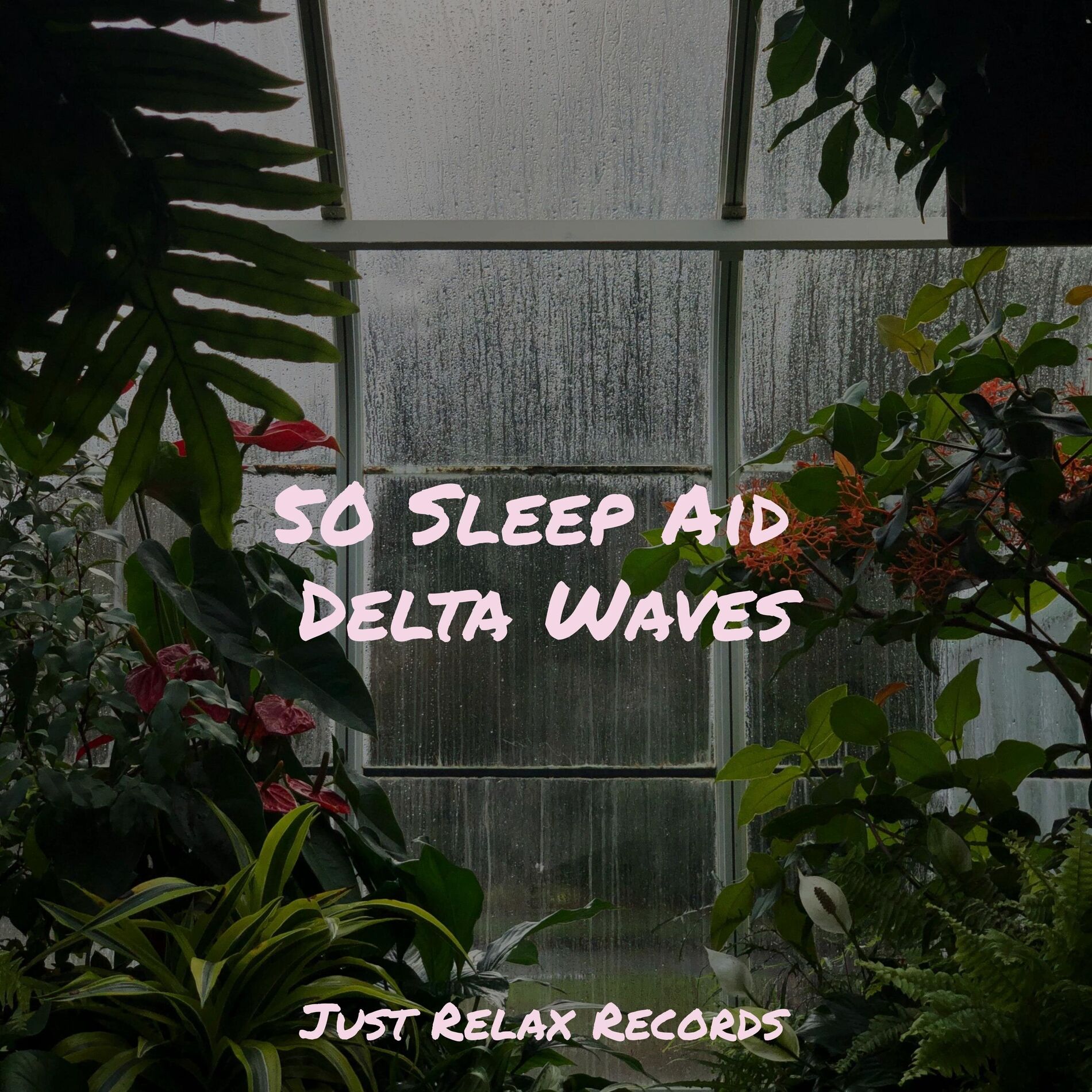 Album cover of 50 Sleep Aid Delta Waves