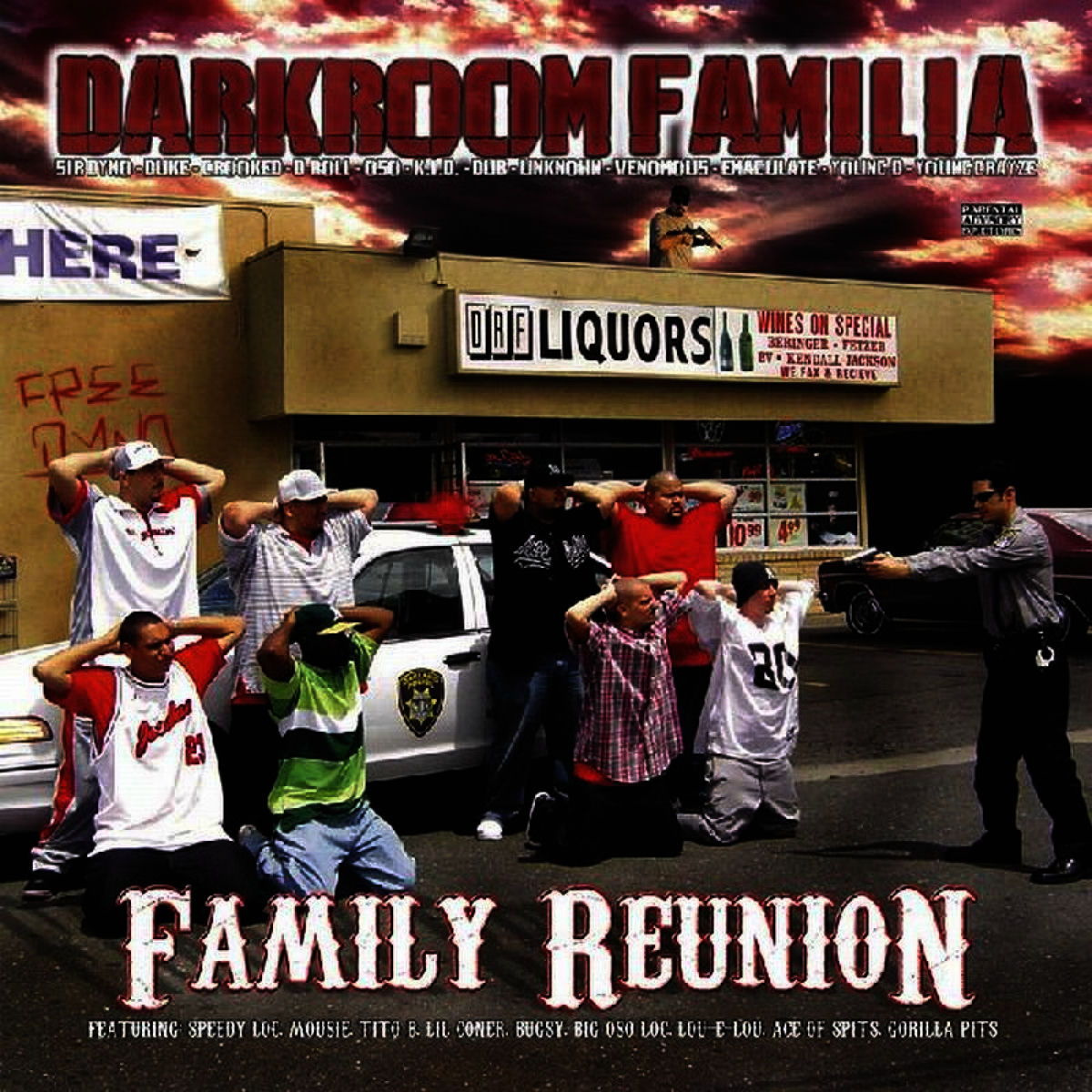 DARKROOM FAMILIA/20 YEARS UP IN THIS GA〜 Darkroom Familia - 20 Years Up In This Game 1988-2008: CD