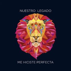 Cover of Me Hiciste Perfecta