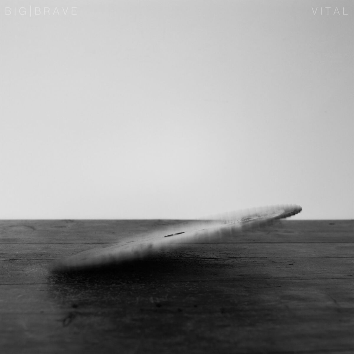 Album cover of Abating the Incarnation of Matter