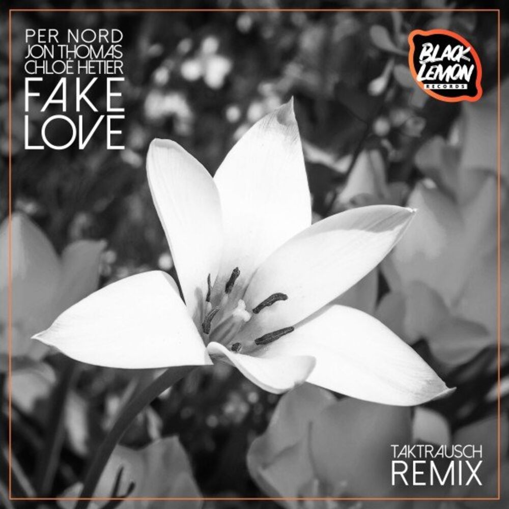Picture of Fake Love (Takt Rausch Remix)