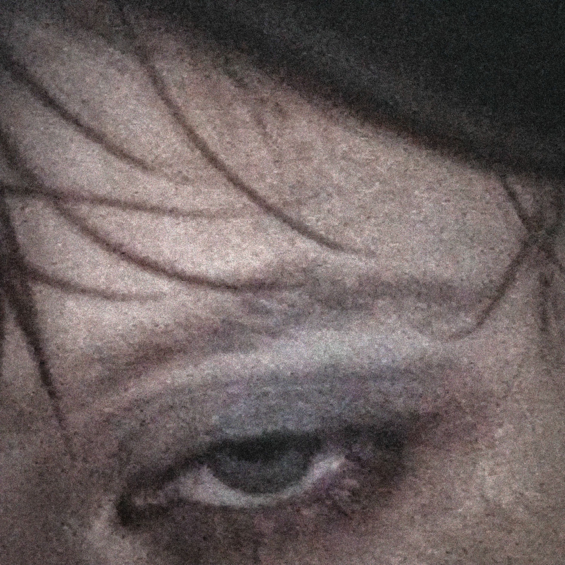 Album cover of End Credits