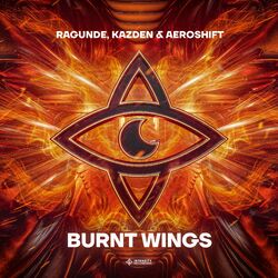 Cover of Burnt Wings