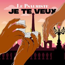 Cover of Je te veux