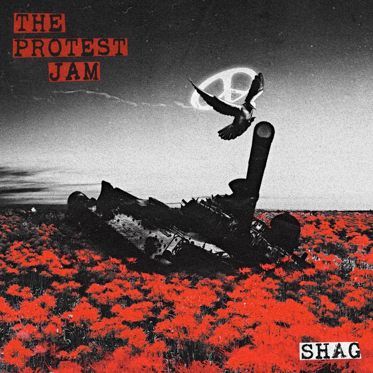 Album cover of THE PROTEST JAM