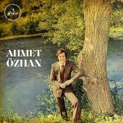 Cover of Meftunun Oldum