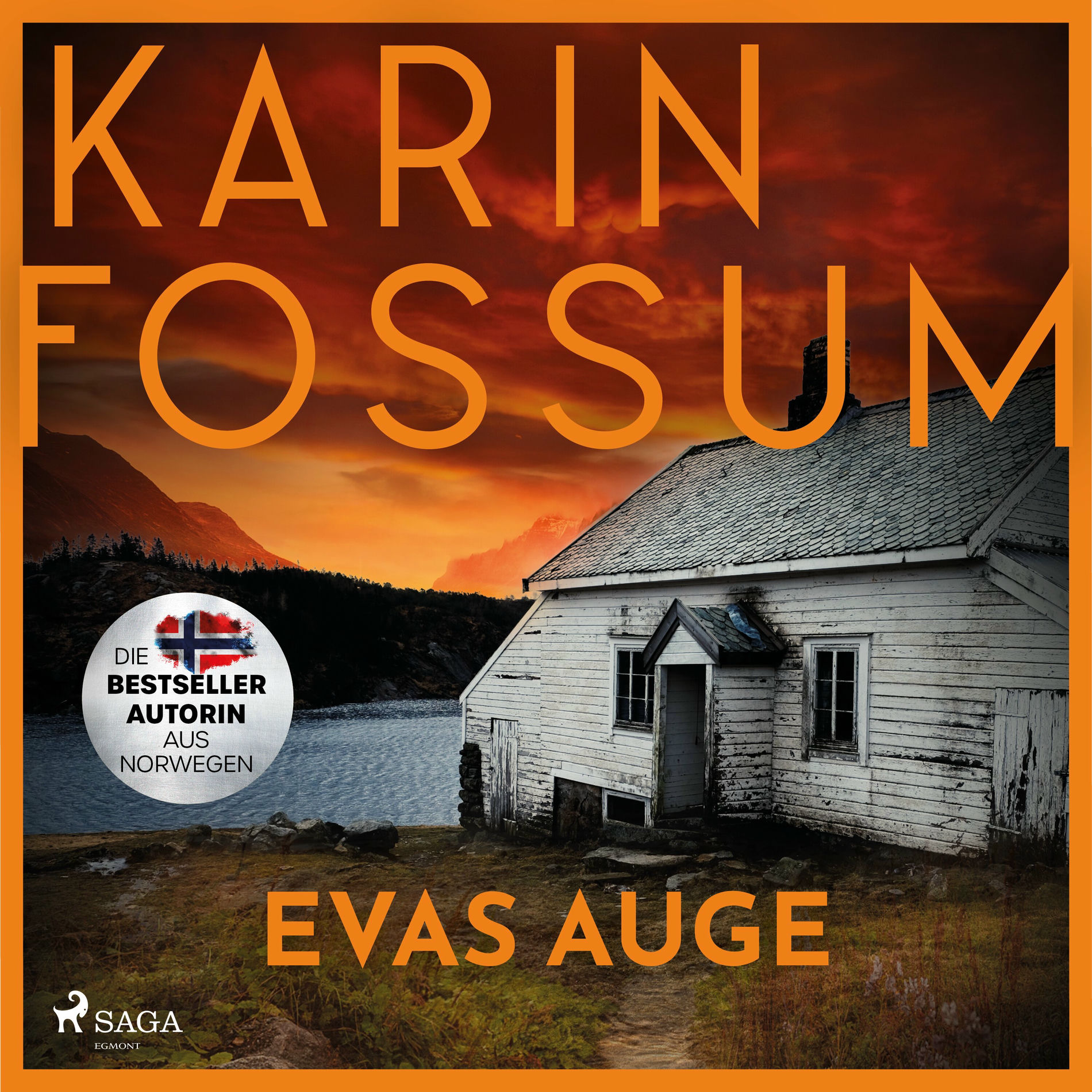 Album cover of Evas Auge