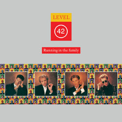 Cover of Running In The Family (Super Deluxe Edition)