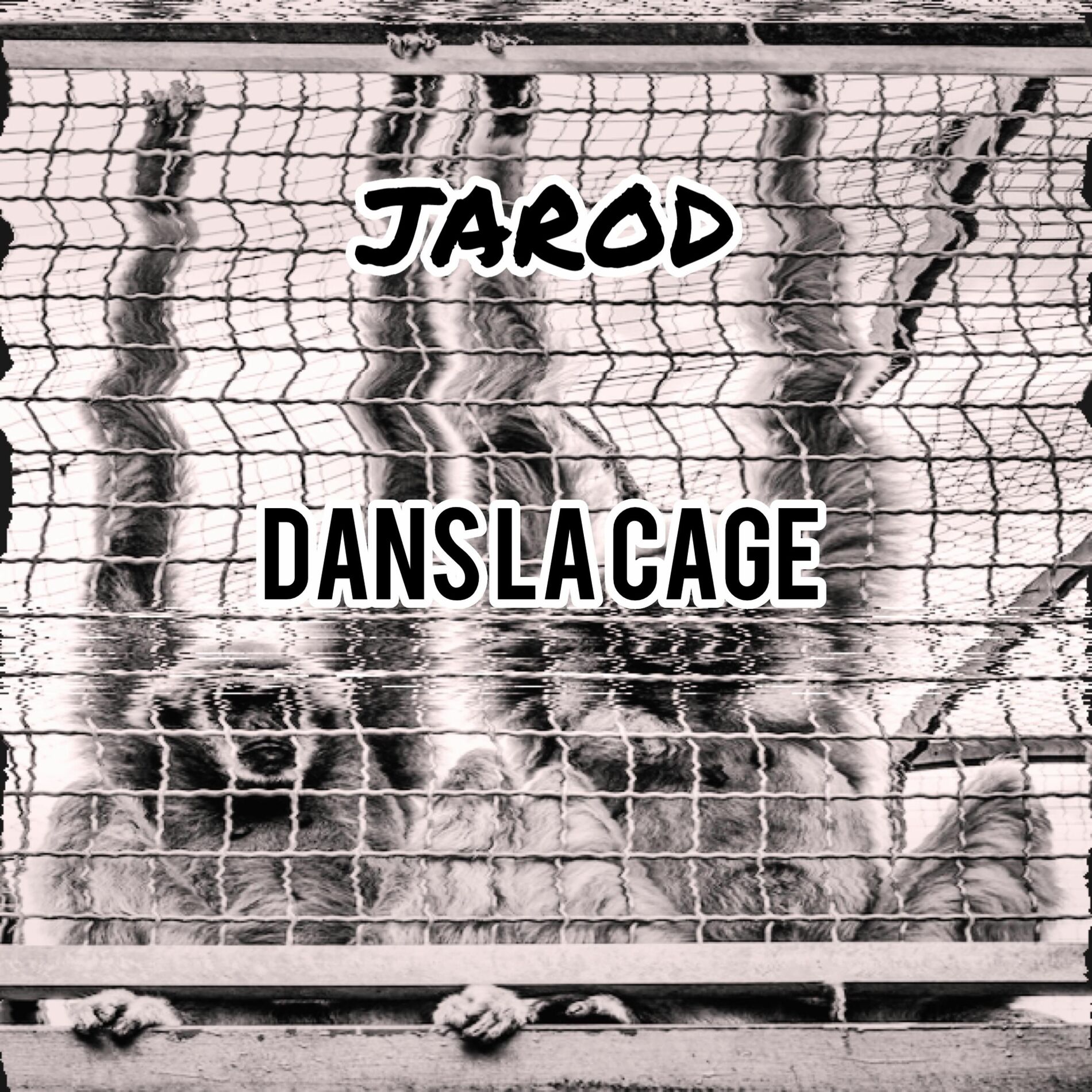 Album cover of DANS LA CAGE (feat. Himra)