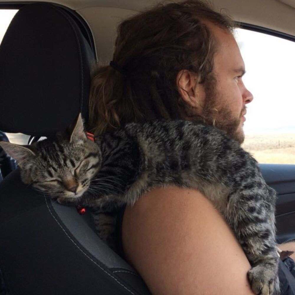 Picture of 9 lives