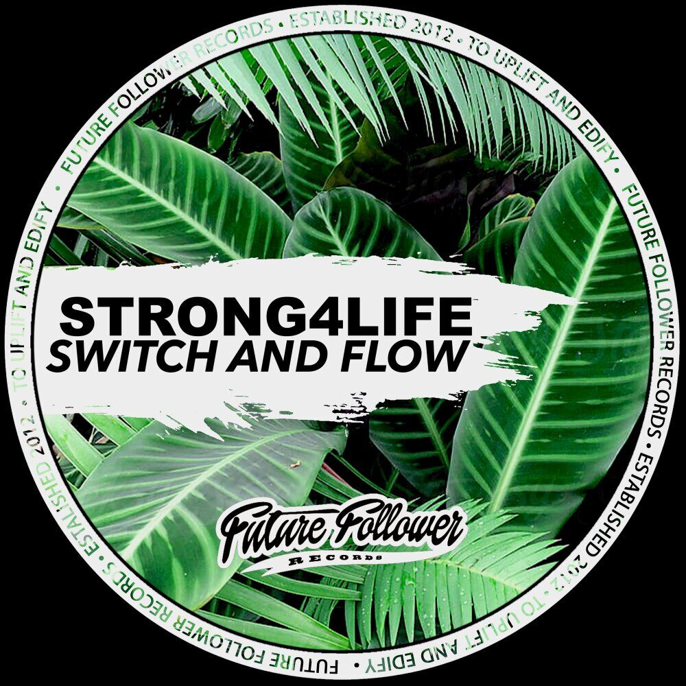 Picture of Switch and Flow