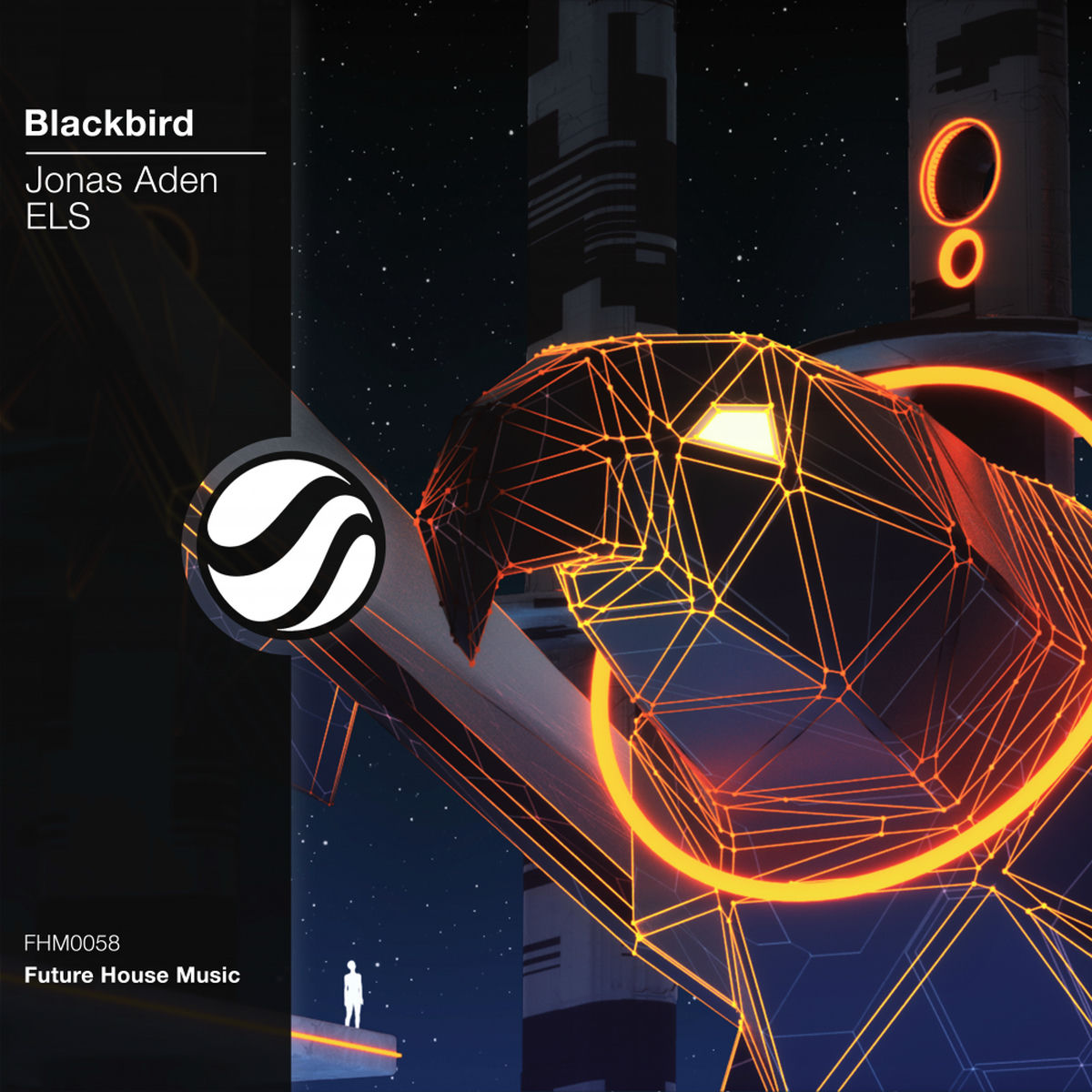 Album cover of Blackbird