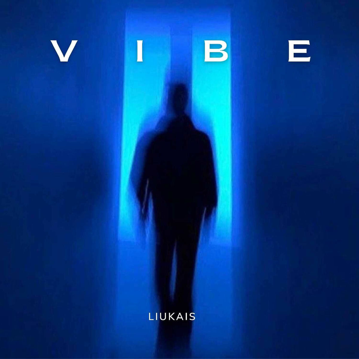 Album cover of Vibe