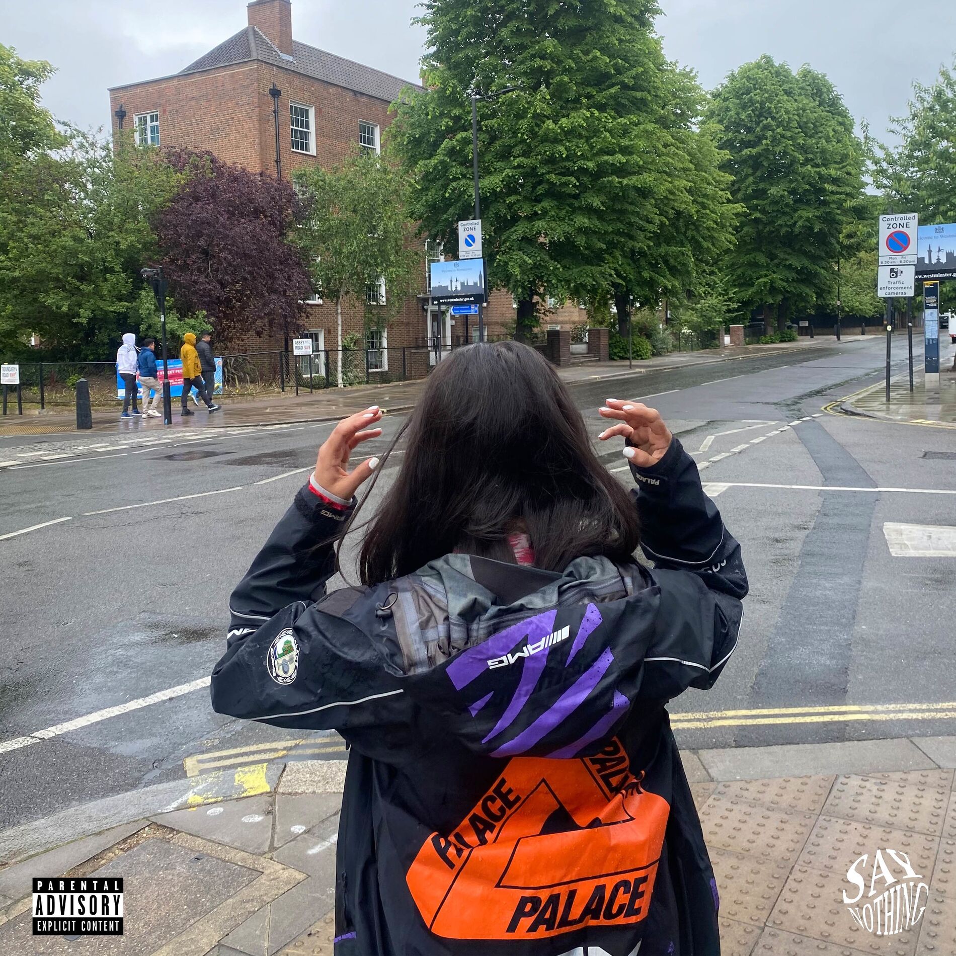 Album cover of SKATE